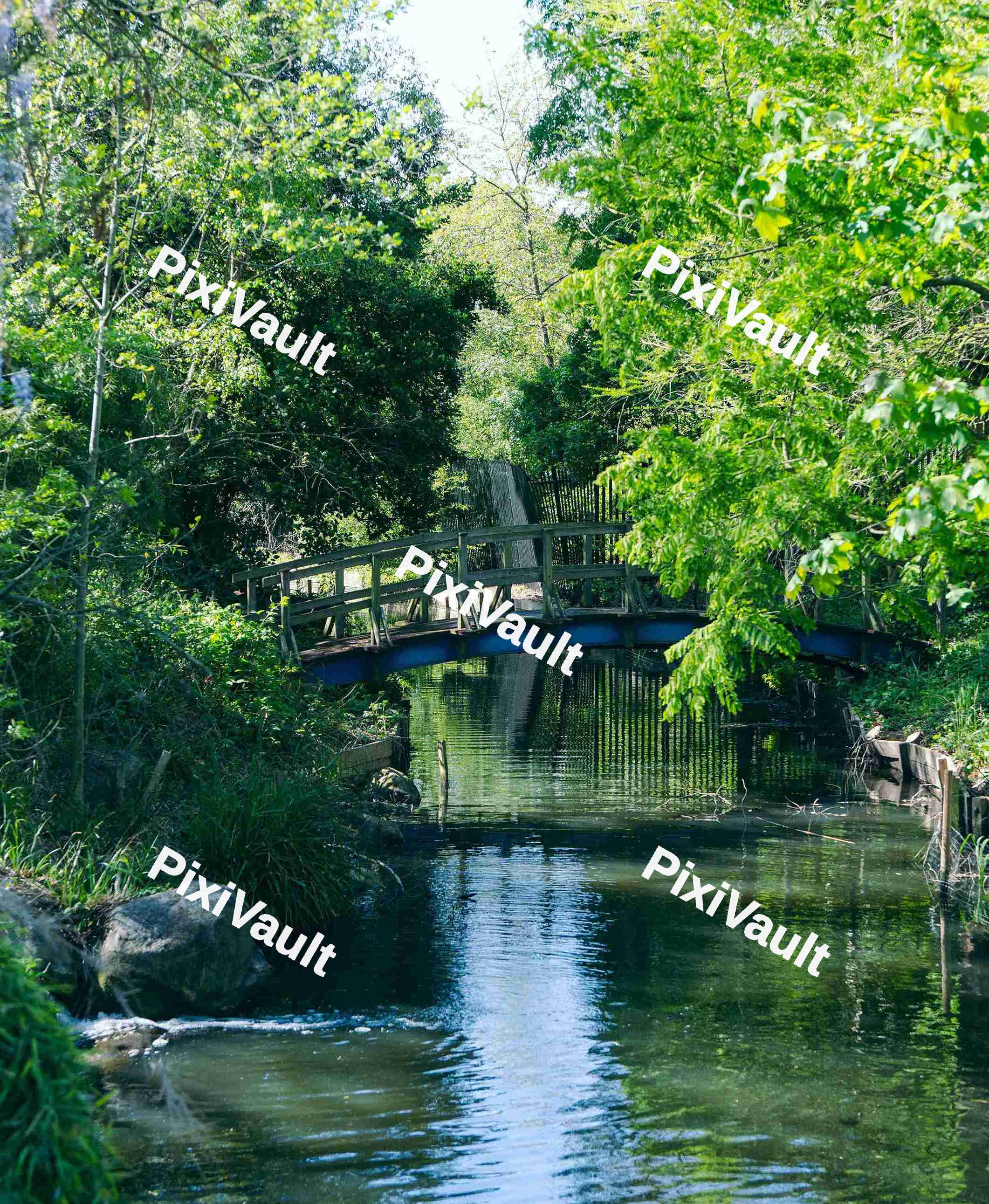 Canal In The Summer